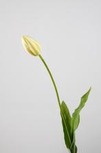 Kunst tulp luxe wit kunsttulp bloem stoer sober landelijk, Nieuw, Verzenden