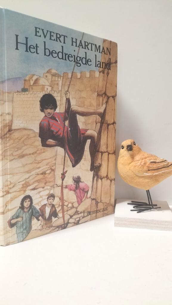 Hartman, Evert; Het bedreigde land, Boeken, Kinderboeken | Jeugd | 13 jaar en ouder, Gelezen, Ophalen of Verzenden