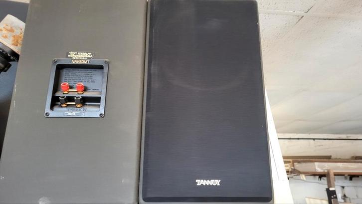 tannoy nfm 8 dmt, Audio, Tv en Foto, Luidsprekers, Gebruikt, Ophalen of Verzenden