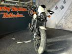 Harley-Davidson XG750A Street Rod Solid Colour (bj 2018), Motoren, Motoren | Harley-Davidson, Bedrijf, Sales@harleydavidsonrotterdam.nl