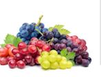 druivenranken, Tuin en Terras, Planten | Fruitbomen, Appelboom, Volle zon, Ophalen of Verzenden