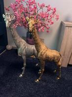 Giraf, Ophalen, Nieuw