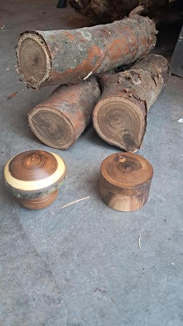 Stammetjes Gouden regen draaihout hobbyhout beschikbaar voor biedingen