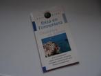Ibiza en Formentera; globus reisgids, Overige merken, Europa, Ophalen of Verzenden, Zo goed als nieuw