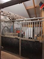 Paardenbox wand met schuifdeur kunststof planken, Dieren en Toebehoren