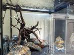 70 liter Aquaruim, Dieren en Toebehoren, Ophalen, Zo goed als nieuw, Terrarium of Paludarium