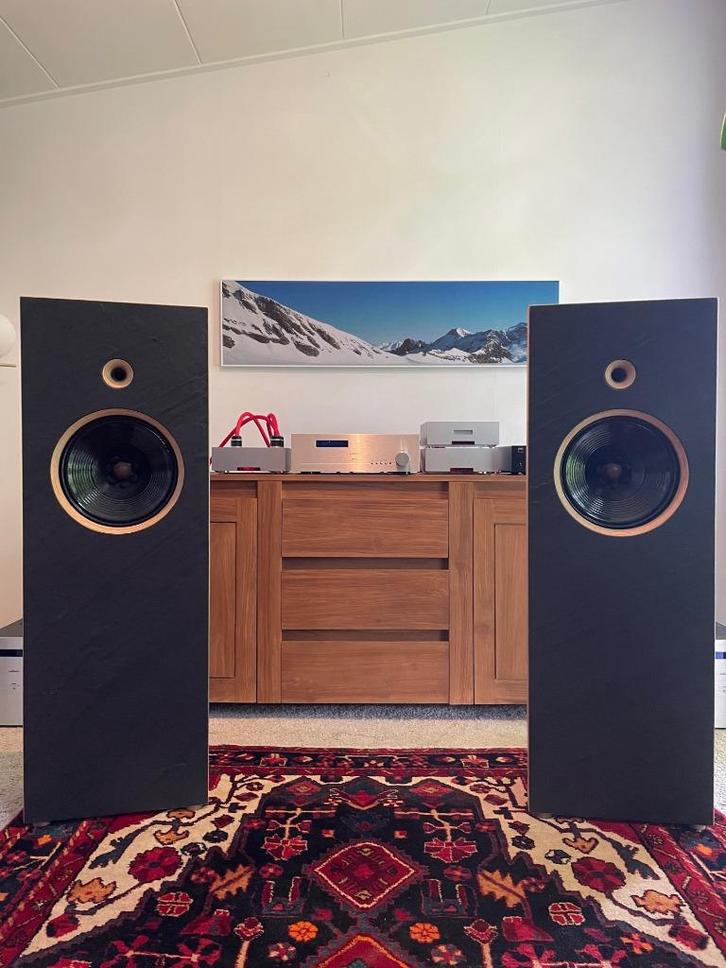 Bastanis Sagarmatha open baffle loudspeakers, Audio, Tv en Foto, Luidsprekers, Gebruikt, Front, Rear of Stereo speakers, 60 tot 120 watt