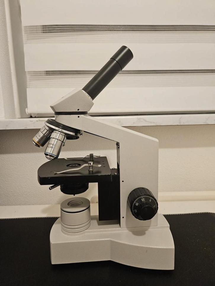 Euromex biologische microscoop - incl. tas + 45 glasplaatjes, Antiek en Kunst, Kunst | Overige Kunst, Ophalen of Verzenden