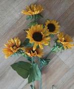 Zonnebloemen, Ophalen of Verzenden, Binnen