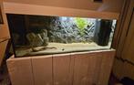 Aquarium 120, Dieren en Toebehoren, Vissen | Aquaria en Toebehoren, Ophalen