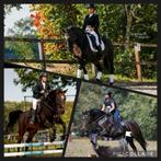 ️Paard(rij) instructie/ trainer les aangeboden️ NCSAH & ORUN, Diensten en Vakmensen, Dieren | Paarden | Verzorging, Oppas en Les