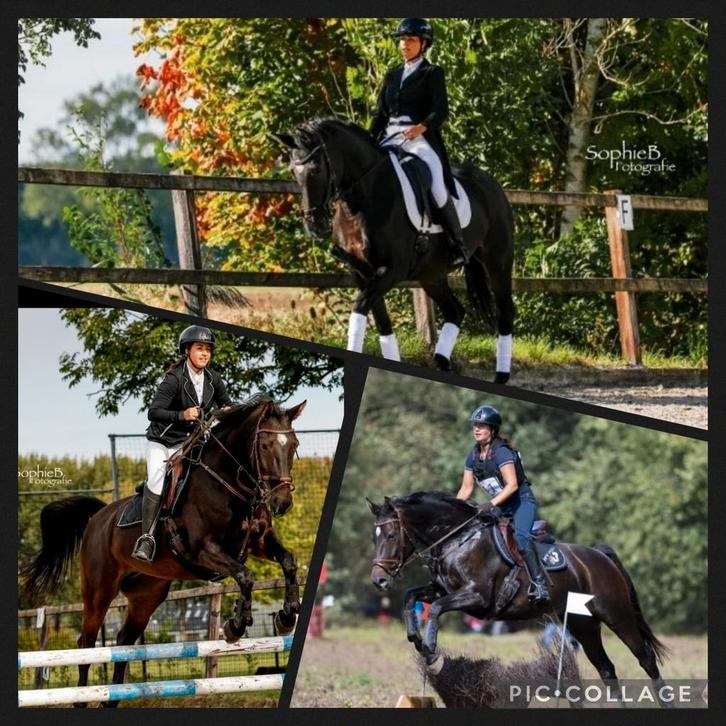 ️Paard(rij) instructie/ trainer les aangeboden️ NCSAH & ORUN, Diensten en Vakmensen, Dieren | Paarden | Verzorging, Oppas en Les