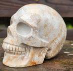 Prachtige schedel van fossiel koraal, Verzamelen, Mineralen en Fossielen, Ophalen of Verzenden