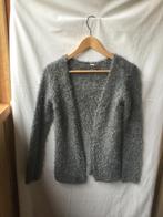 Grijs fluffy vest in nieuwstaat maat 158-164, Kinderen en Baby's, Kinderkleding | Maat 158, Ophalen of Verzenden, Zo goed als nieuw