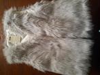 Dames hesje/bodywarmer, Kleding | Dames, Ophalen of Verzenden, Nieuw