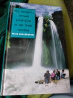 Hete loempia's, vreemde weeshuizen en een Thaise tweeling, P. Hoogenboom, Fictie algemeen, Ophalen of Verzenden, Zo goed als nieuw