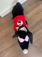 HEMA Takkie verkleedset Valentijn nieuw, Verzenden, Nieuw, Hond