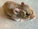 Schattige Knuffel Hamster, Ophalen of Verzenden, Zo goed als nieuw, Overige typen
