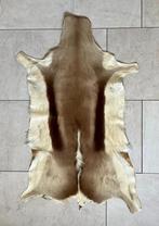 Huid / vacht / kleed springbok Zuid-Afrika, Ophalen, 50 tot 100 cm, Zo goed als nieuw, Rechthoekig