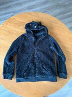 Te koop leuk vest maat 146-152, Kinderen en Baby's, Kinderkleding | Maat 146, Meisje, Trui of Vest, Ophalen of Verzenden, Zo goed als nieuw