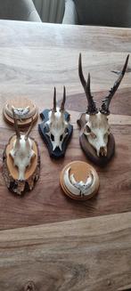 Geweitjes, Ophalen of Verzenden, Nieuw, Beeldje of Figuurtje