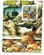 Papegaaiduikers, vogels - Benin 2002 - Gestempeld, Verzenden, Gestempeld, Dier of Natuur