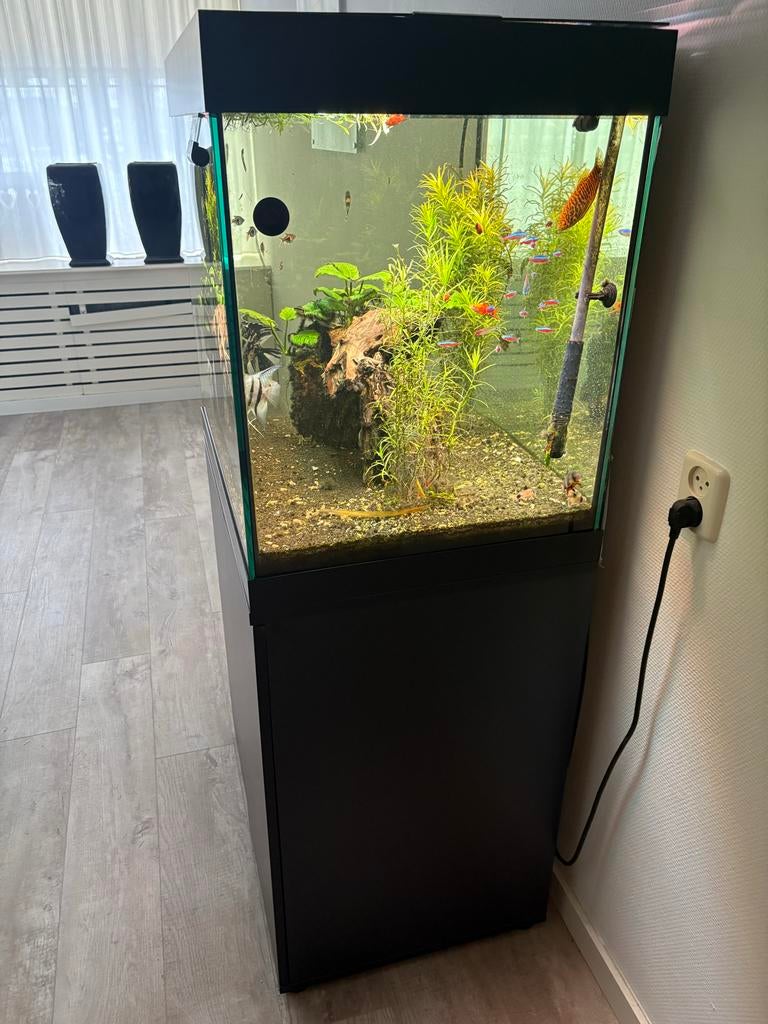 Aquarium, Dieren en Toebehoren, Vissen | Aquaria en Toebehoren, Ophalen of Verzenden, Zo goed als nieuw, Leeg aquarium