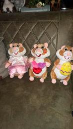 Hamsters div, Ophalen of Verzenden, Zo goed als nieuw, Overige typen