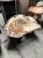 exlcusieve salontafel versteend hout Turkijke, zeldzaam, Verzamelen, Mineralen en Fossielen, Ophalen of Verzenden, Fossiel