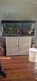 Juwel 240 aquarium kleur zwart met kast., Dieren en Toebehoren, Ophalen of Verzenden, Zo goed als nieuw, Leeg aquarium