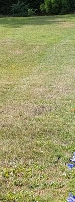Tuinman Valkenswaard.Hulp bij gras maaien., Tuin en Terras, Overige Tuin en Terras, Ophalen of Verzenden