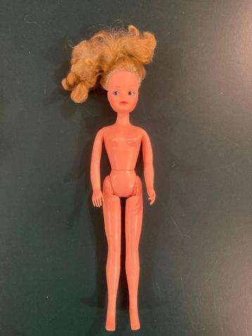 Sindy pedigree vintage pop blond haar pop jaren 80-90! beschikbaar voor biedingen