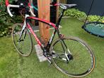Carbon Wilier - Izoard XP 50,5cm - Campagnolo, Gebruikt, Heren, 49 tot 53 cm, Meer dan 20 versnellingen