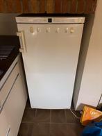 Liebherr koelkast 125 cm hoog, Witgoed en Apparatuur, Ophalen, Zonder vriesvak, 120 tot 140 cm, Zo goed als nieuw