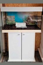 Ferplast Dubai 80 Aquarium 125L, Ophalen, Gebruikt, Leeg aquarium