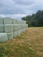 60 midi balen te koop voor paarden en pony,s, Dieren en Toebehoren, Ophalen, Overige soorten