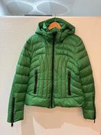 Goldbergh skijas, Ophalen of Verzenden, Zo goed als nieuw, Maat 42/44 (L), Jack