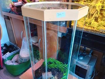 Verschillende aquarium te koop van klein tot 60 cm beschikbaar voor biedingen