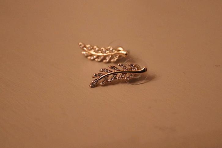Oorbellen veren (NIEUW), Sieraden, Tassen en Uiterlijk, Oorbellen, Nieuw, Overige materialen, Goud, Ophalen of Verzenden