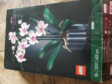 Lego 10311 orchidee met doos en boekje  beschikbaar voor biedingen