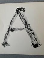 Anthon Beeke het alphabet zwart wit, Antiek en Kunst, Ophalen