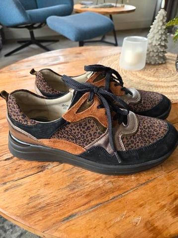 Waldlaufer  6,5 beschikbaar voor biedingen