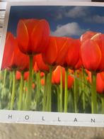 Partij holland Amsterdam kaarten, Verzamelen, Ansichtkaarten | Nederland, Ophalen of Verzenden, Noord-Holland