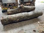 Walnoot noten stam, Tuin en Terras, Haardhout, Minder dan 3 m³, Ophalen, Overige houtsoorten, Stammen