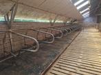 diverse Stalinrichting (o.a. ligboxen en draaipoorten), Dieren en Toebehoren, Stalling en Weidegang