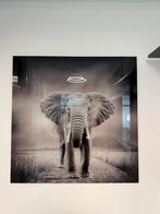 Glasschilderij Olifant 80x80 cm, Ophalen of Verzenden, Zo goed als nieuw, Schilderij, 75 tot 100 cm