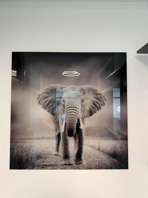 Glasschilderij Olifant 80x80 cm, Huis en Inrichting, Woonaccessoires | Schilderijen, Tekeningen en Foto's, Zo goed als nieuw, Schilderij