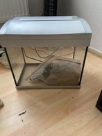 Aquarius, Ophalen, Zo goed als nieuw