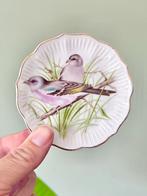 Vintage mini bordje wandbordje vogels vogelprent, Antiek en Kunst, Antiek | Wandborden en Tegels, Ophalen of Verzenden