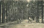 (387-244-019) De Steeg Middachter Allee, Verzamelen, Ansichtkaarten | Nederland, Verzenden, Gelderland